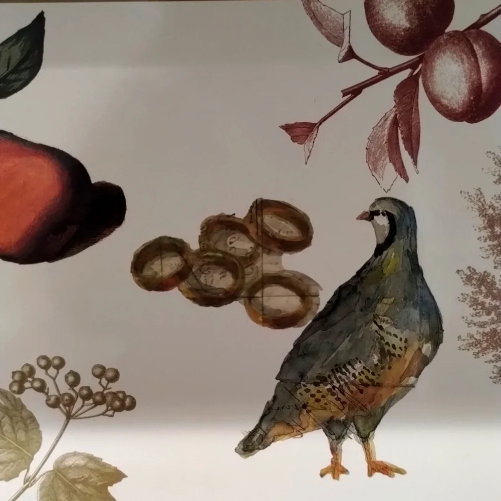 NWT- Williams-Sonoma Hard Place Mat